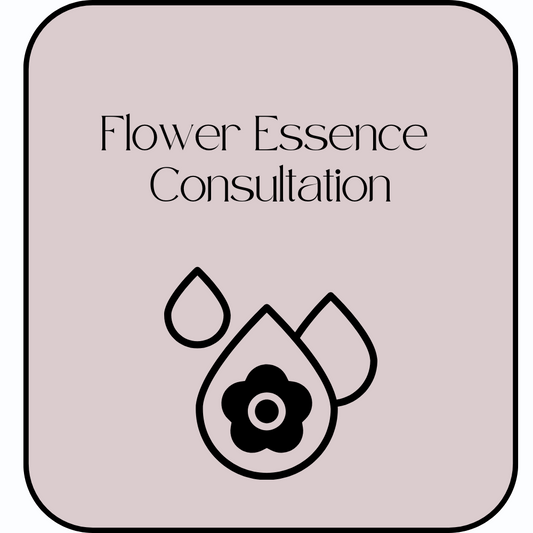 Flower Essences Therapy for Transforming Anger (Virtual)